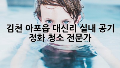 김천 아포읍 대신리 실내 공기 정화 청소 전문가