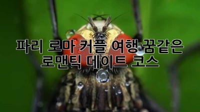 파리 로마 커플 여행: 꿈같은 로맨틱 데이트 코스