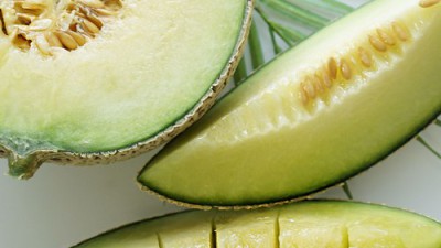 놓치면 후회! ✨ 곡성 머스크멜론 특가 꿀팁 후기 🍈